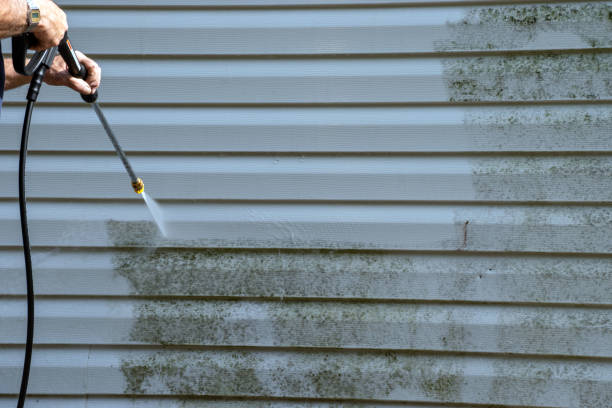 Storm Damage Siding Repair in Williamston, NC